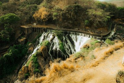 A beautiful waterfall cascading through a dense forest, creating a serene nature scene.
