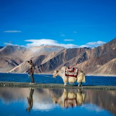 YAK, MAN AND THE LAKE